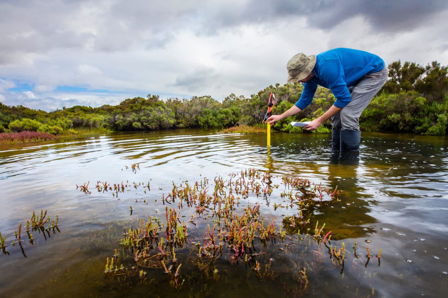 Scientist measuring water depth to assess impact