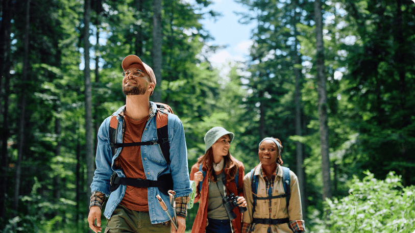 3 hikers in the forest